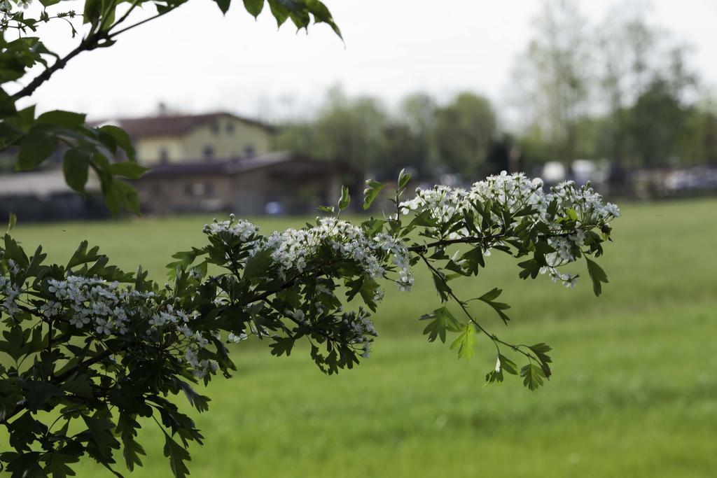 Agriturismo I Due Merli Hotell Zanica Exteriör bild